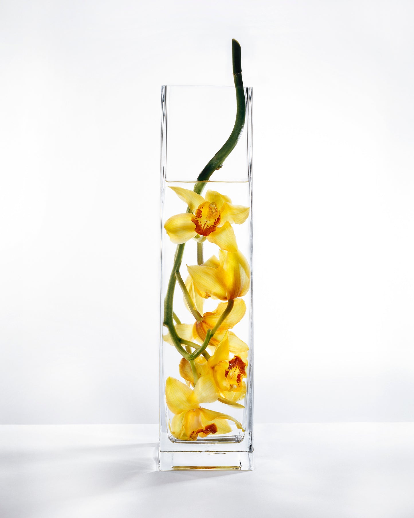 In Water Yellow Orchids Set of 2