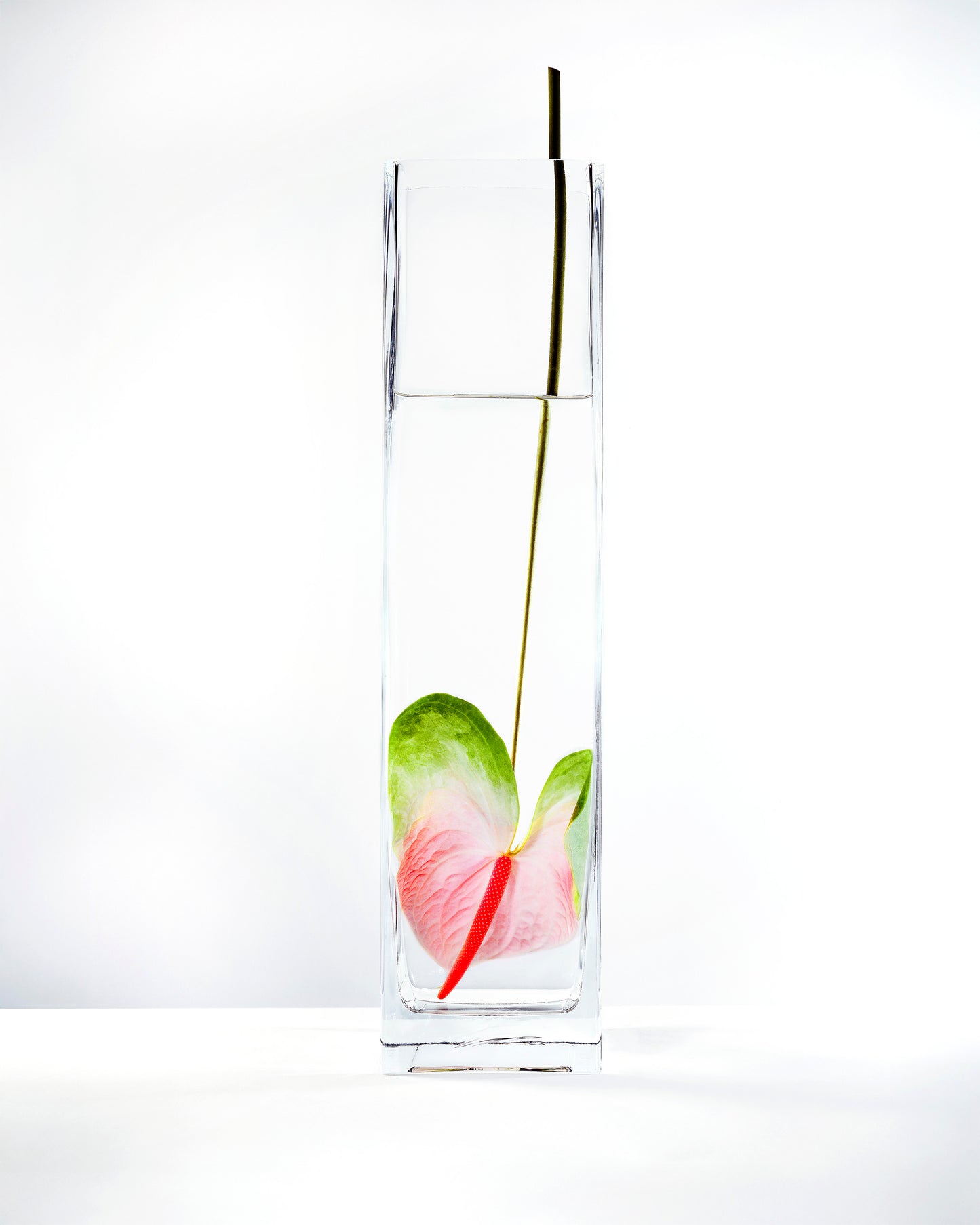 In Water Prink Orchids Set of 2