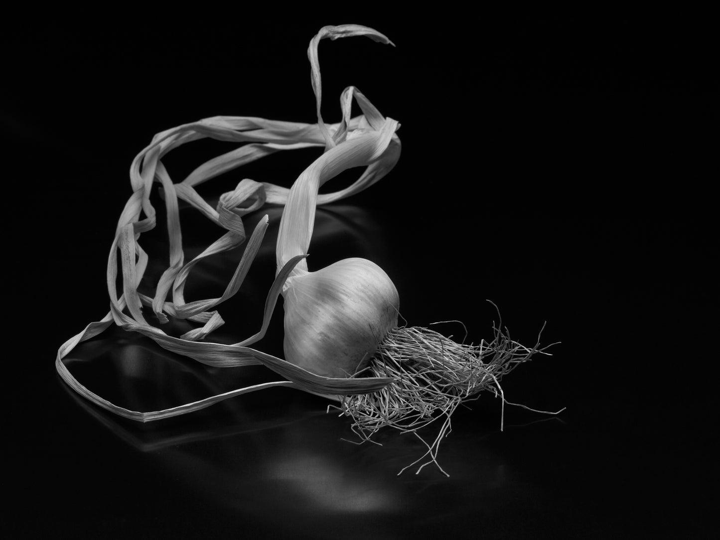 Field Garlic Triptych
