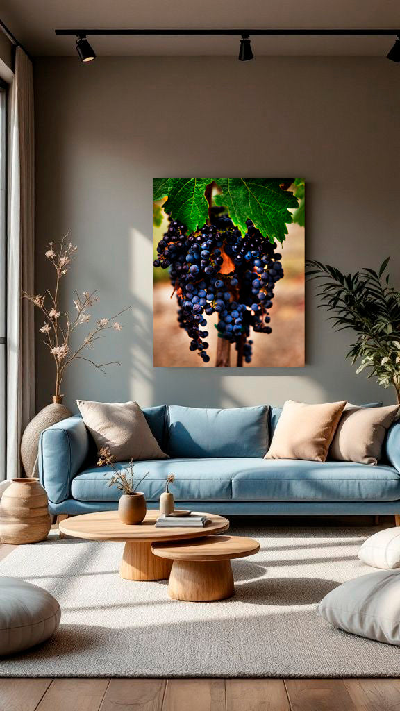 Cabernet Sauvignon Grapes in Napa
