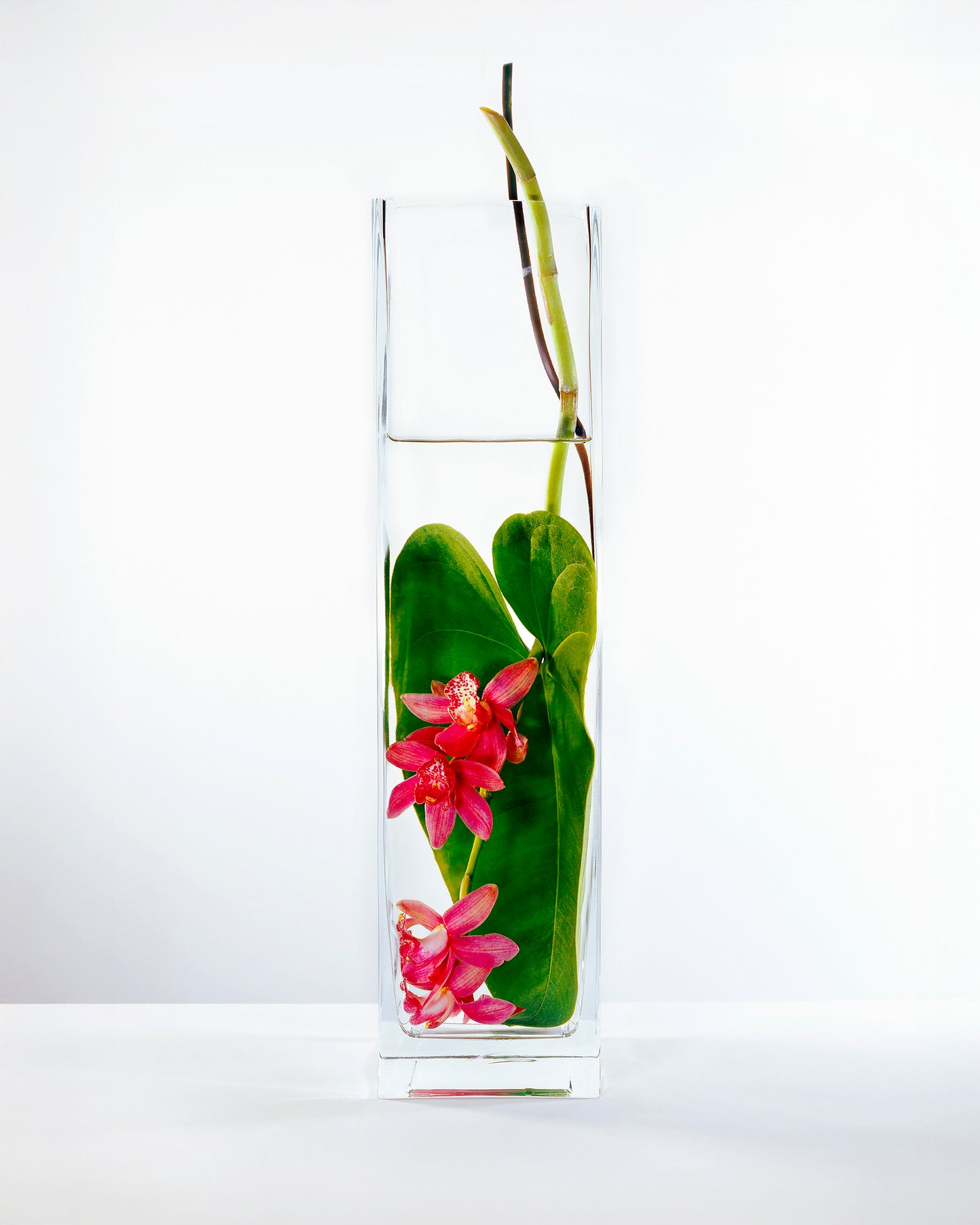 In Water Prink Orchids Set of 2