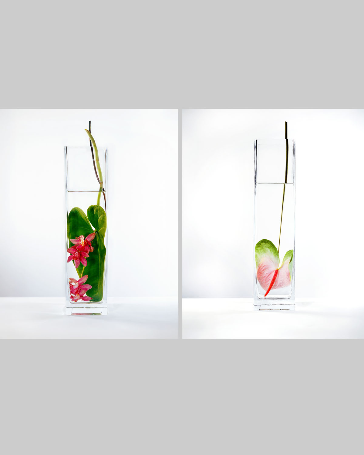 In Water Prink Orchids Set of 2