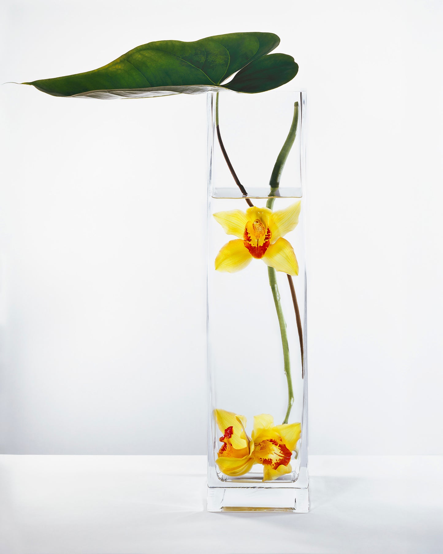 In Water Yellow Orchids Set of 2
