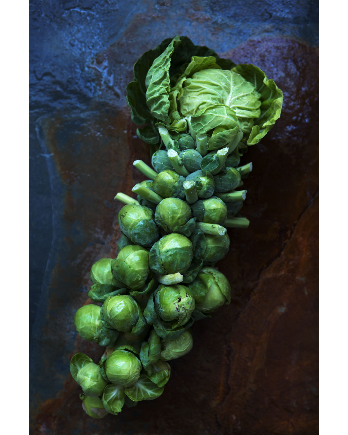 Brussel Sprouts Rustic