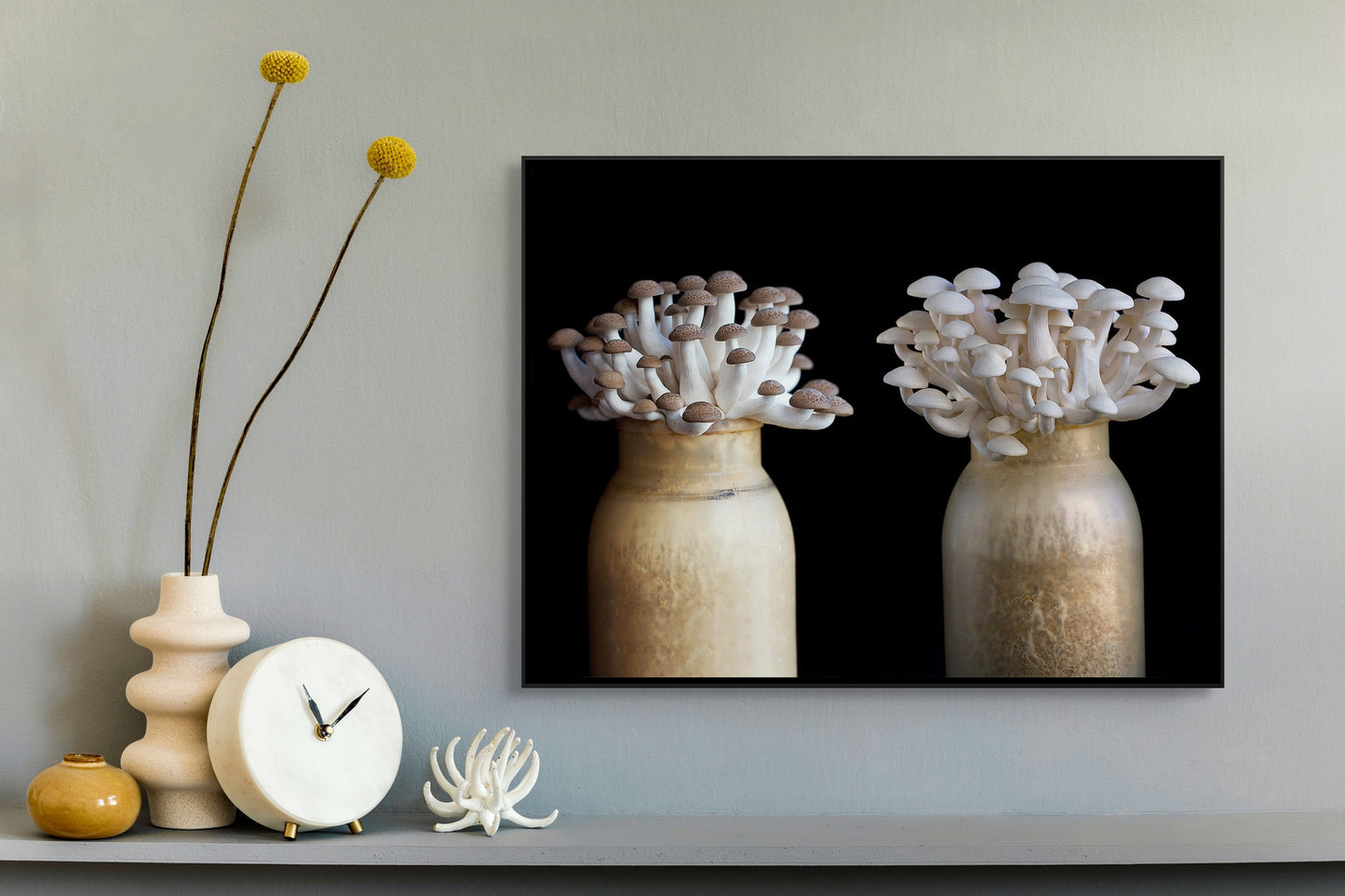 Mushrooms Growing