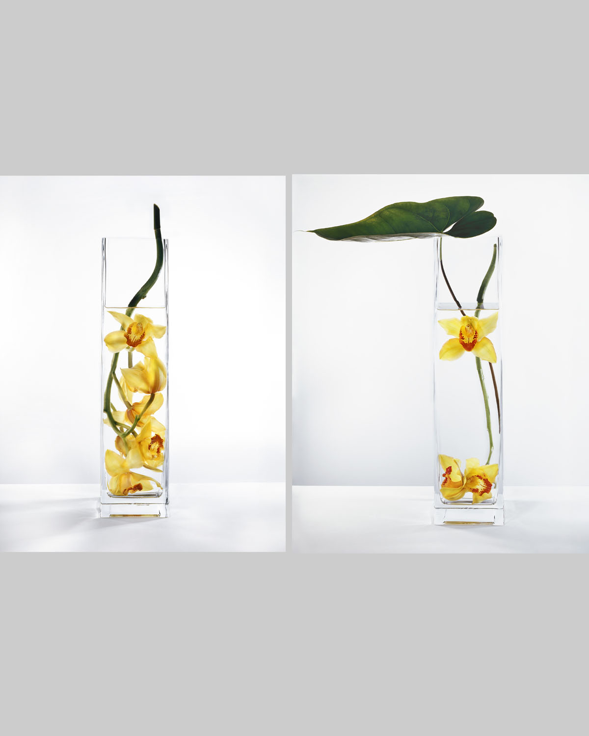 In Water Yellow Orchids Set of 2