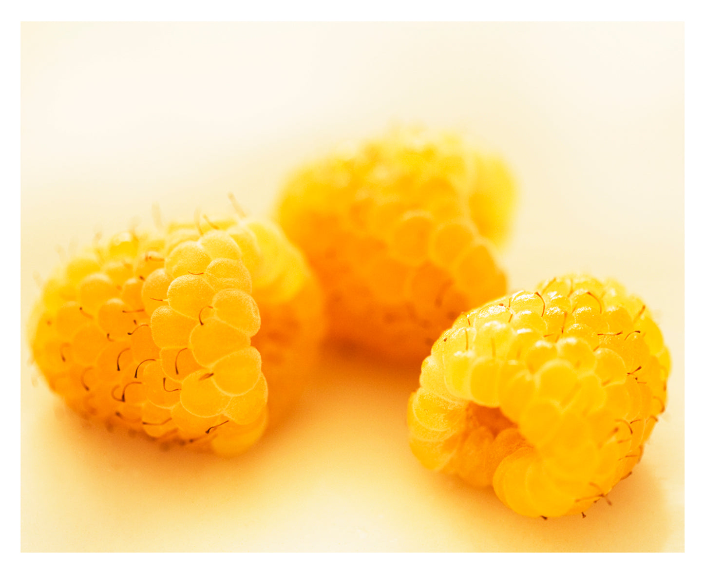 Golden Raspberries