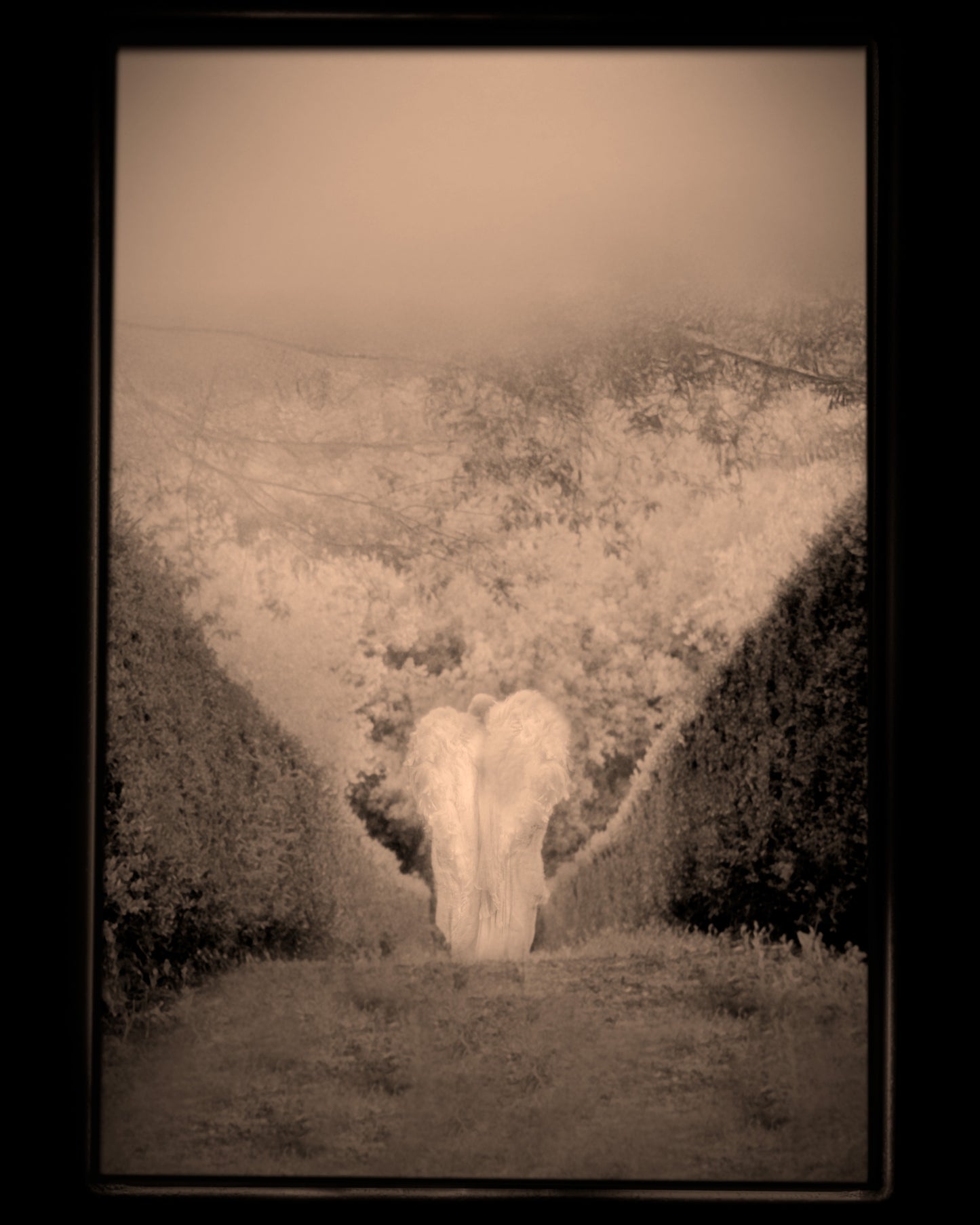 20-WALKING THRU YOUR FEARS