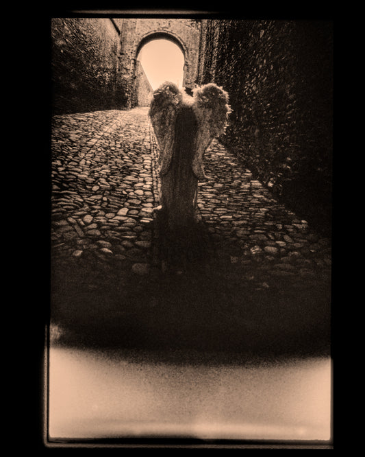 25-INTO THE LIGHT: Parma Italy