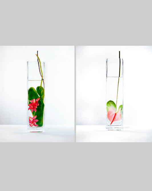 In Water Prink Orchids Set of 2