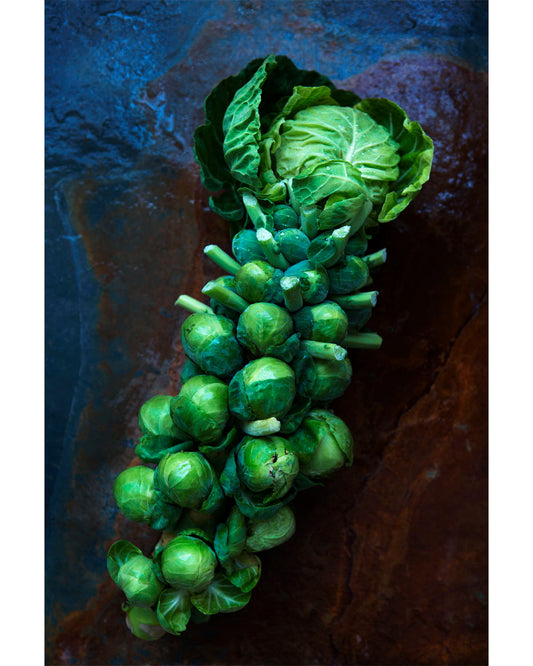 Brussel Sprouts Rustic