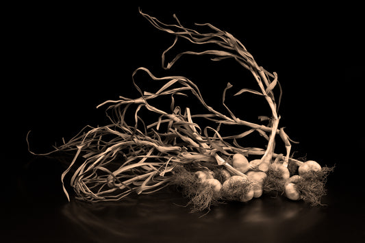 Garlic From The Field on Gold