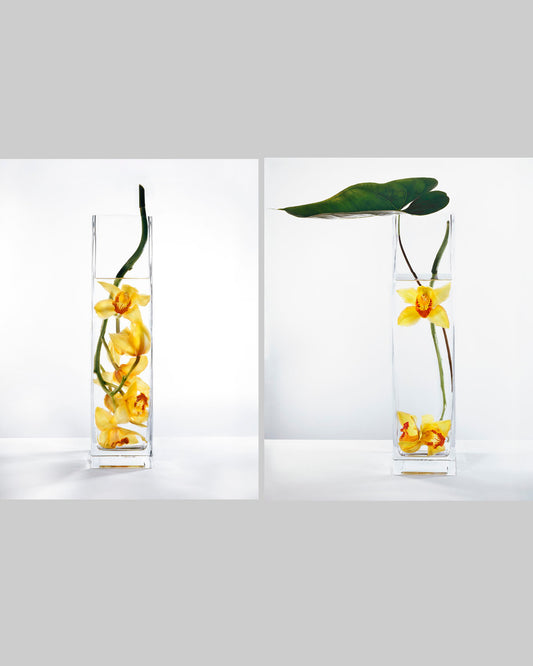 In Water Yellow Orchids Set of 2